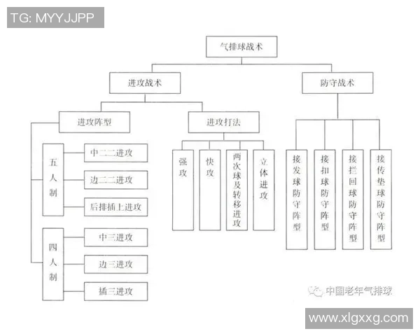 南京排球队整体压制战术解析与实战应用探讨