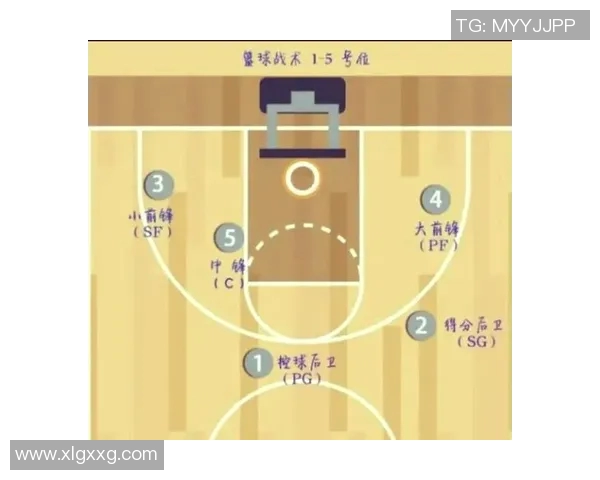 赵芳独家篮球心得分享:从基础技巧到比赛策略的全面解析